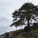 득실마을회관 이미지