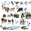 동물 식물의 수명 이미지