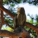 금산군청 이미지