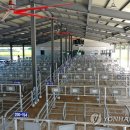 경진축산 이미지