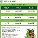 히든트릭아트뮤지엄 이미지