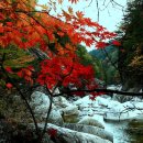 기석1호 이미지