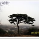 소나무집 민박 이미지