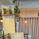 유화 | 잠실성인미술학원, 아트아뜰리에 잠실점 유화수업 후기