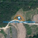 돼지부동산중개사사무소 이미지