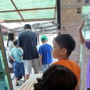 하남숯불닭갈비 이미지