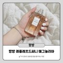레플레르 | 20대 30대 여자향수 추천｜랑방 레 플레르 드 써니 매그놀리아 후기
