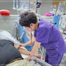 맑은인한의원 이미지