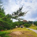 하슬라미술관 이미지