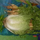 우림농장1 이미지