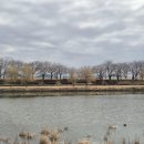 동천 수변공원 이미지