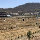 일대농장(2) 이미지