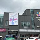 와룡투