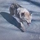 신화아파트경로당 이미지