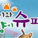 솔솔이와 고양이 슈퍼밴드 이미지