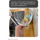 세븐일레븐 포항오천강변점 | [국내] 포항항항 여행_2박 3일