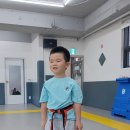 용인대 키즈 태권도 | 옥정태권도 아이들의 행복해하는 옥정키즈태권도 후기