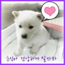 천애농장 이미지