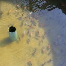 금어농장 이미지