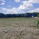 화양읍사무소 이미지