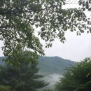 산머루집민박 이미지