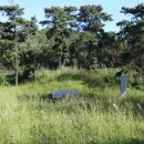 조정만묘 이미지