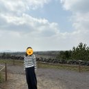 벚꽃이 흩날리던 제주도 여행
