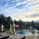 휘닉스 실외수영장 이미지