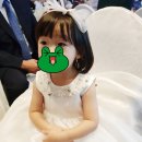 메르시마망