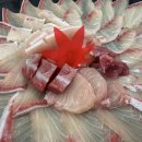 흥해시장 | 포항 횟집 포항흥해시장22번횟집에서 먹은 겨울 제철 포항 대방어 후기