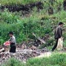 장사시장 이미지