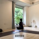 구로-구로-구로-3048 | [요가트리] 2020 HTY(Holistic Therapy Yoga) 요가.명상 지도자과정 1주차 후기입니다.