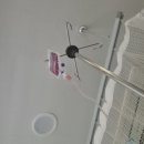 진도이비인후과의원 이미지