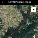 오소재 티스토리