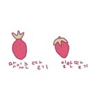 메타복스 이미지