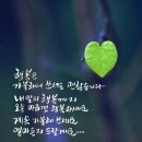 가을 숲으로 가자 이미지