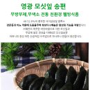 [마감] 영광모시송편/생송편.찐송편 주문예약 받아요 이미지