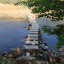 새땅공인중개사사무소 이미지