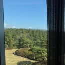 암반수사우나 | [WE호텔제주] 조식뷔페, 천연화산암반수 사우나, 부대시설 후기