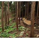 옥룡 GS마트 이미지