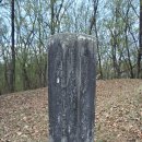 김명원 | (문신) 오성군 야당 김수렴, 정경부인 창녕성씨 -경주김씨-