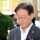 사설] 직접 결재 뒤 “수고했다” 격려해놓고 ‘부지사가 몰래 했다’니 이미지