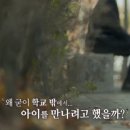 이윤상 카카오 검색결과