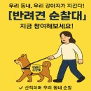 반려견 순찰대 활동 후기 및 급여 혜택 정리