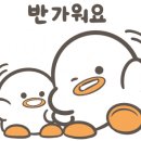 카페동네내포점