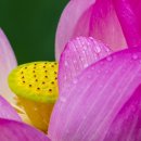 용성3길 이미지