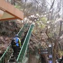 죽연마을(문척) 이미지