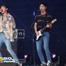 돔앤나인2 뉴스엔