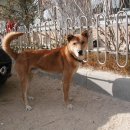 이주용농장 이미지