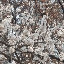 청원당구클럽 이미지